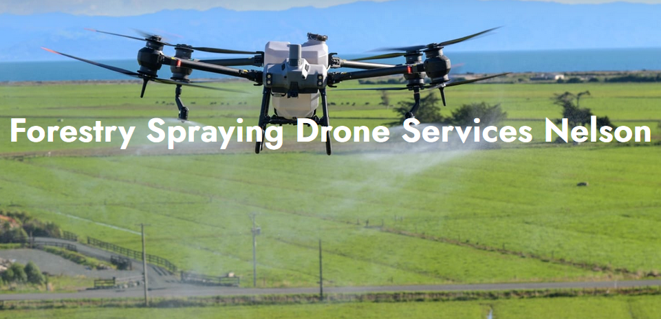 Drone Services