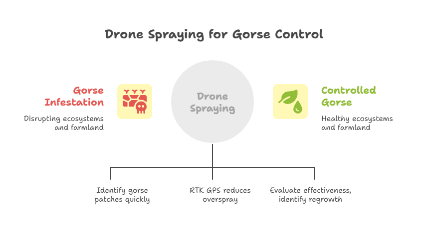 Precision Drone Gorse Spraying Services